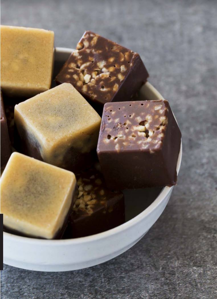 PEANUT BUTTER AND CACAO FUDGE - Gelpro Australia