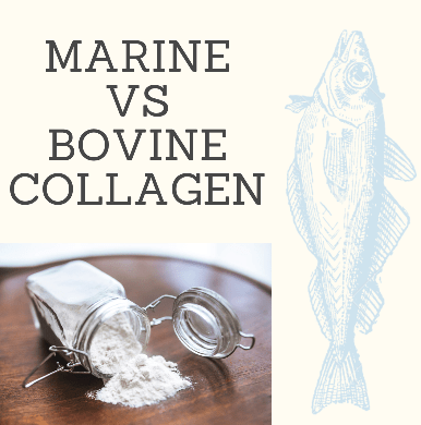Marine vs Bovine Collagen: What's the difference? - Gelpro Australia