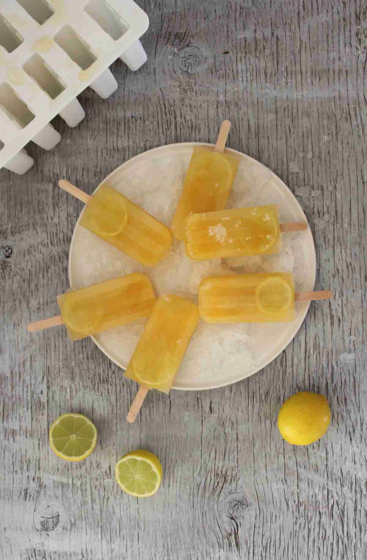 CITRUS ELECTROLYTE ICY POLES - Gelpro Australia
