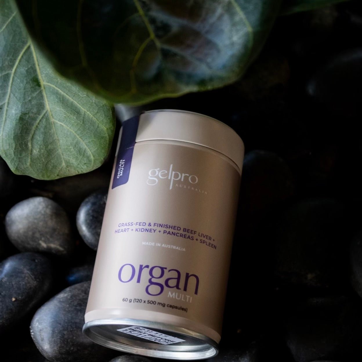 Organ Multi | 120 capsules - Gelpro Australia