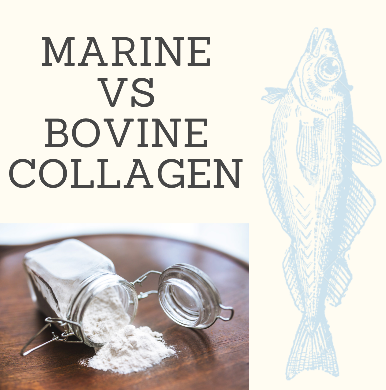 Marine vs Bovine Collagen: What's the difference?